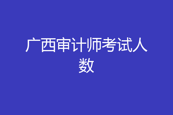 广西审计师考试人数