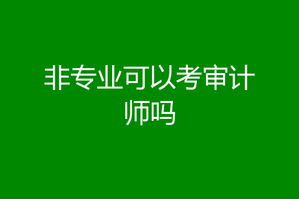非专业可以考审计师吗