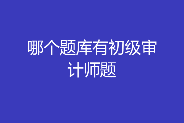 哪个题库有初级审计师题