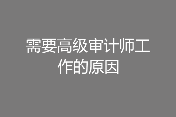 需要高级审计师工作的原因