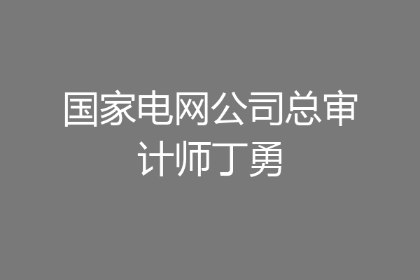 国家电网公司总审计师丁勇