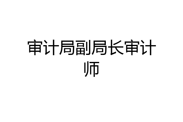 审计局副局长审计师