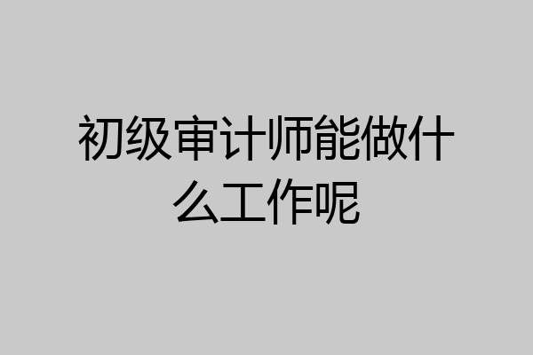 初级审计师能做什么工作呢