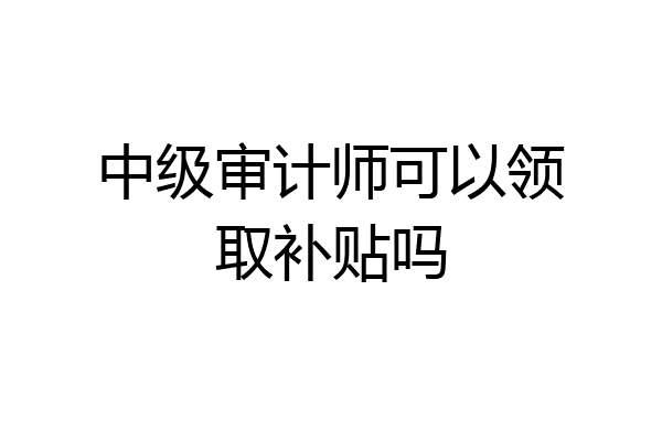 中级审计师可以领取补贴吗