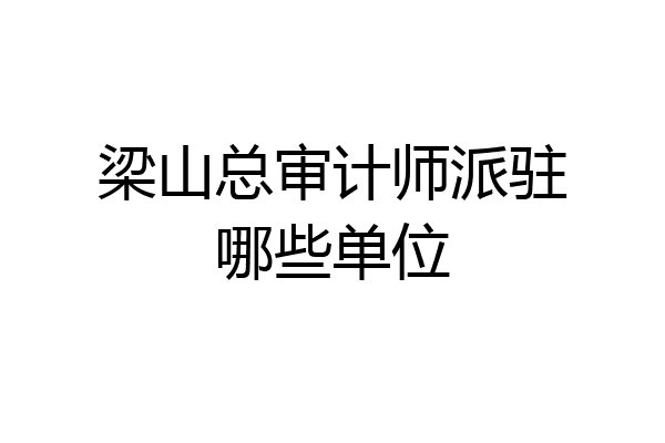 梁山总审计师派驻哪些单位