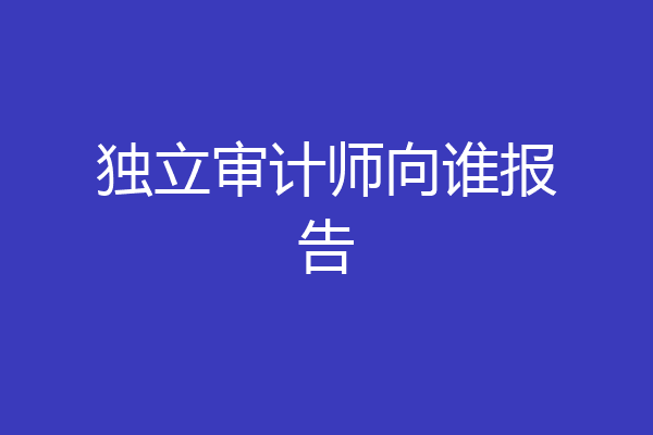 独立审计师向谁报告