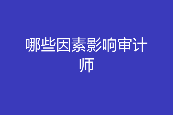 哪些因素影响审计师