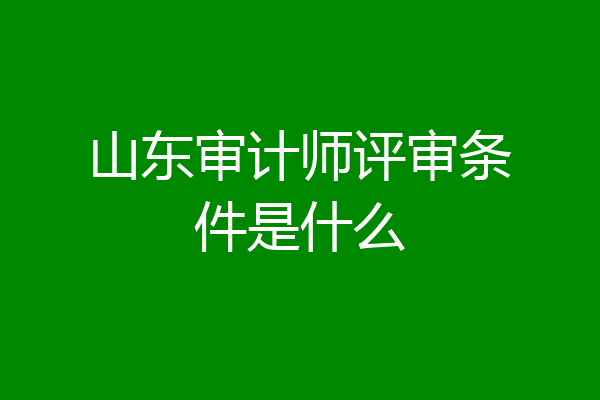 山东审计师评审条件是什么