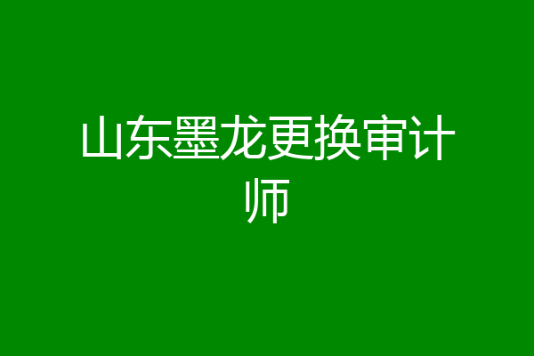 山东墨龙更换审计师