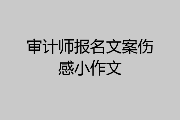审计师报名文案伤感小作文