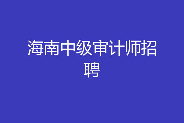 海南中级审计师招聘