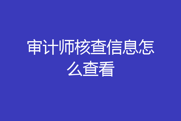 审计师核查信息怎么查看