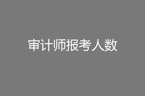 审计师报考人数