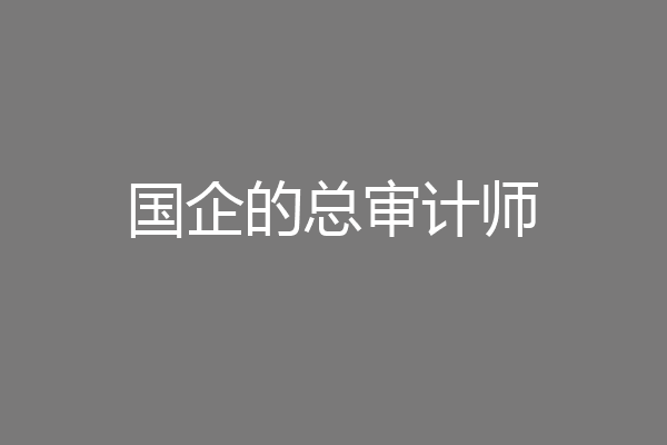 国企的总审计师