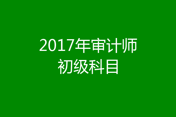2017年审计师初级科目