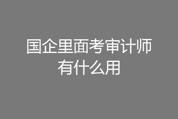 国企里面考审计师有什么用