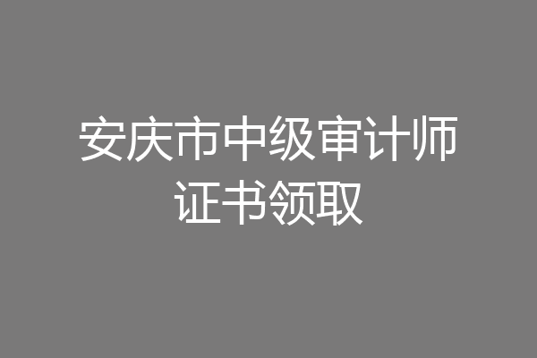 安庆市中级审计师证书领取