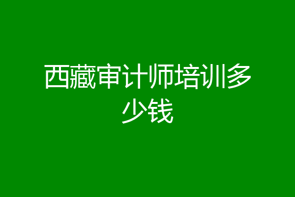 西藏审计师培训多少钱