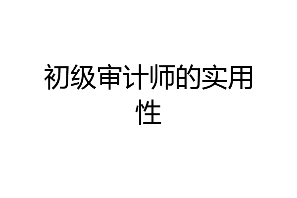 初级审计师的实用性
