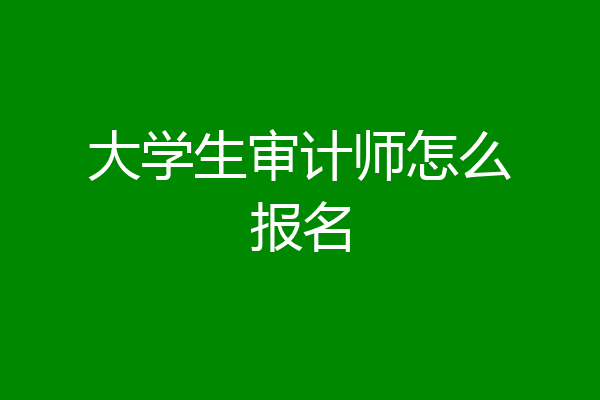 大学生审计师怎么报名