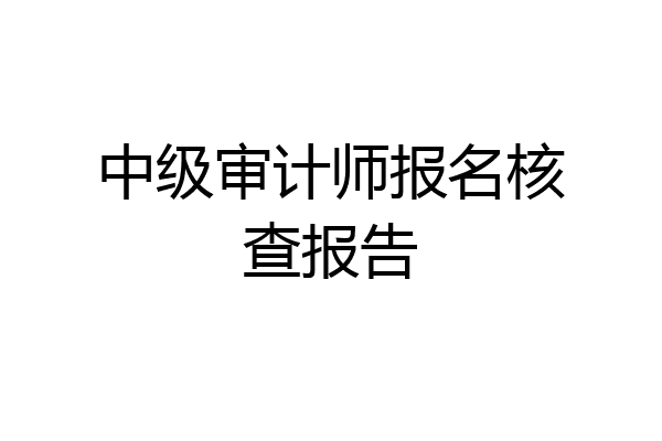 中级审计师报名核查报告