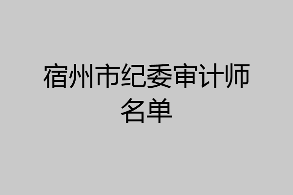 宿州市纪委审计师名单