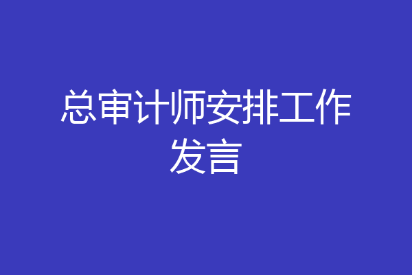 总审计师安排工作发言