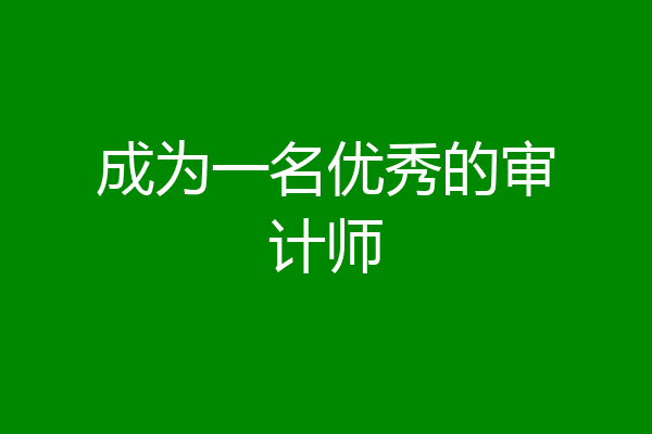 成为一名优秀的审计师