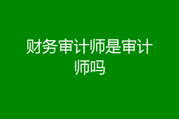 财务审计师是审计师吗