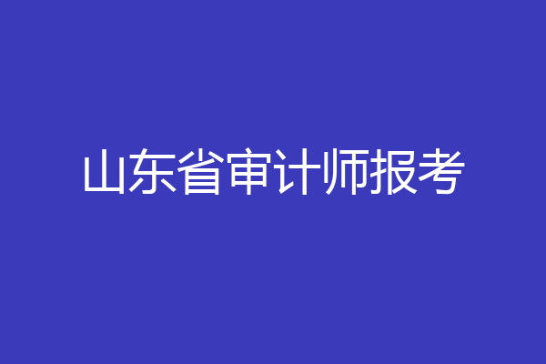 山东省审计师报考