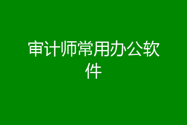 审计师常用办公软件