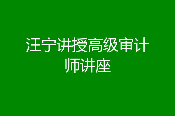 汪宁讲授高级审计师讲座