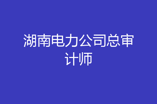 湖南电力公司总审计师