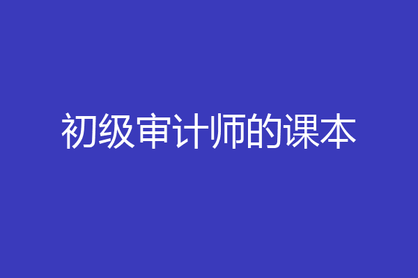 初级审计师的课本