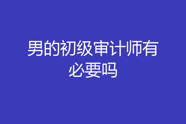 男的初级审计师有必要吗