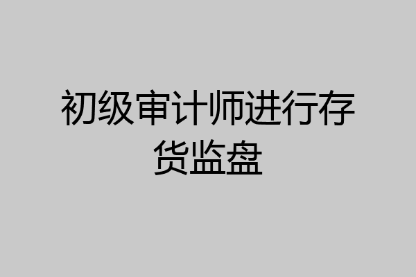 初级审计师进行存货监盘