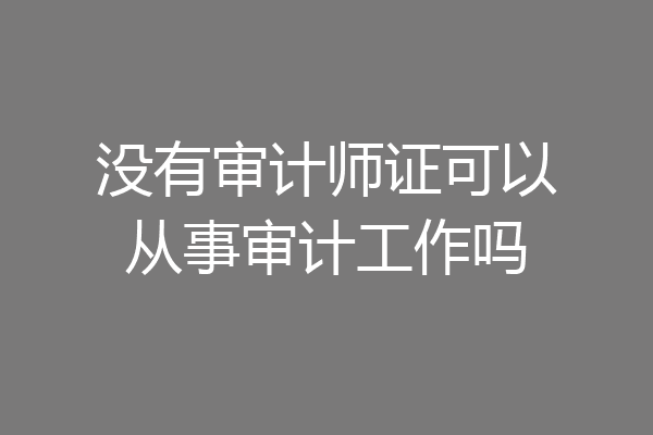 没有审计师证可以从事审计工作吗