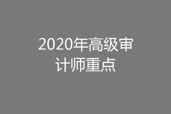 2020年高级审计师重点