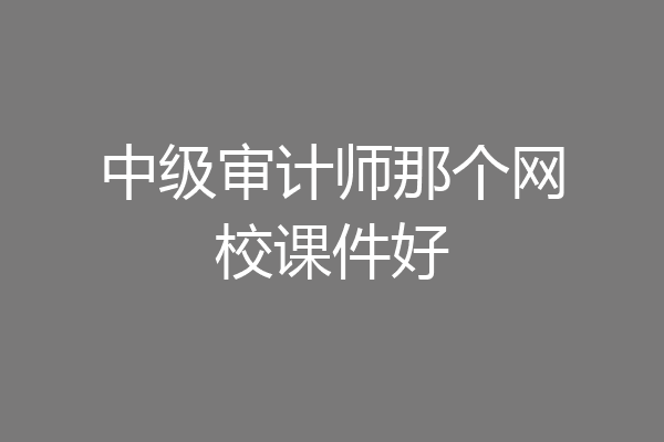中级审计师那个网校课件好