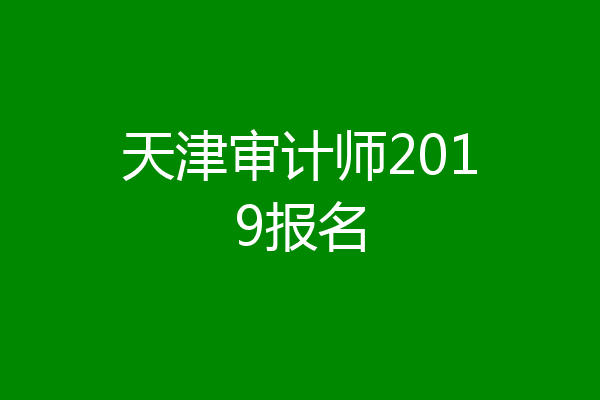 天津审计师2019报名