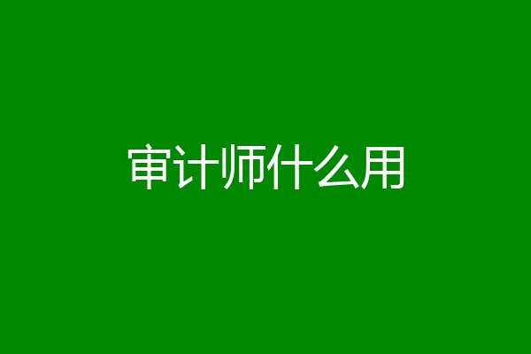 审计师什么用