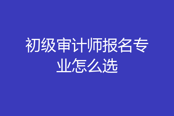 初级审计师报名专业怎么选