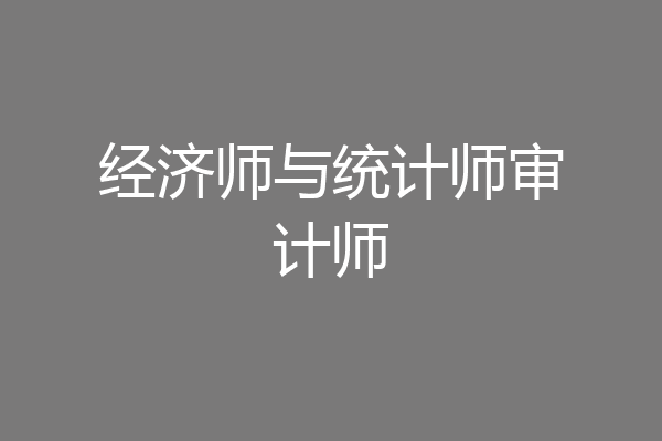 经济师与统计师审计师