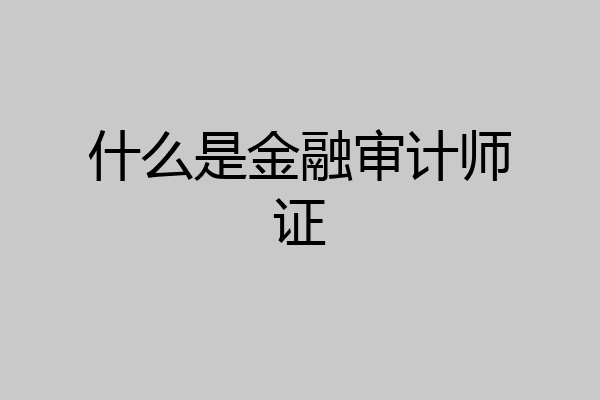 什么是金融审计师证