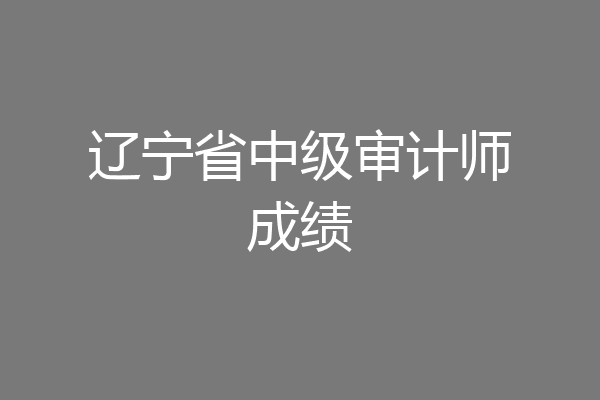 辽宁省中级审计师成绩