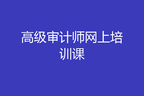 高级审计师网上培训课