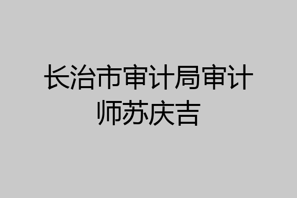 长治市审计局审计师苏庆吉
