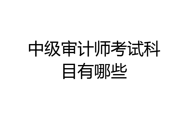 中级审计师考试科目有哪些