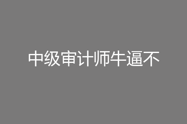 中级审计师牛逼不
