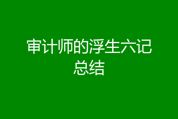 审计师的浮生六记总结